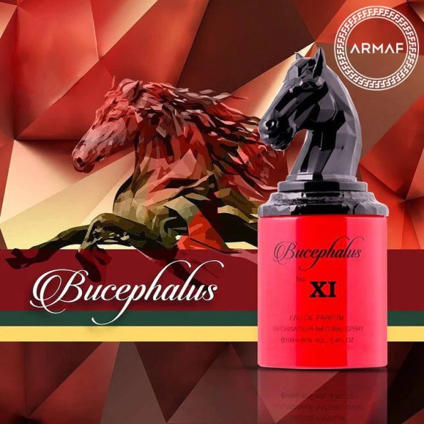 Bucephalus XI Armaf Niche