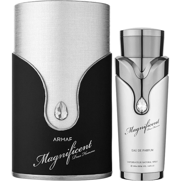 Magnificent Pour Homme Armaf